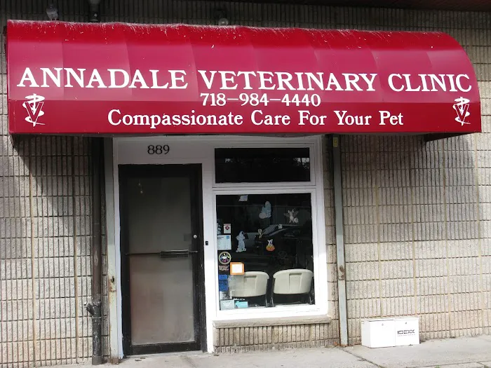 Annadale Veterinary Clinic 2