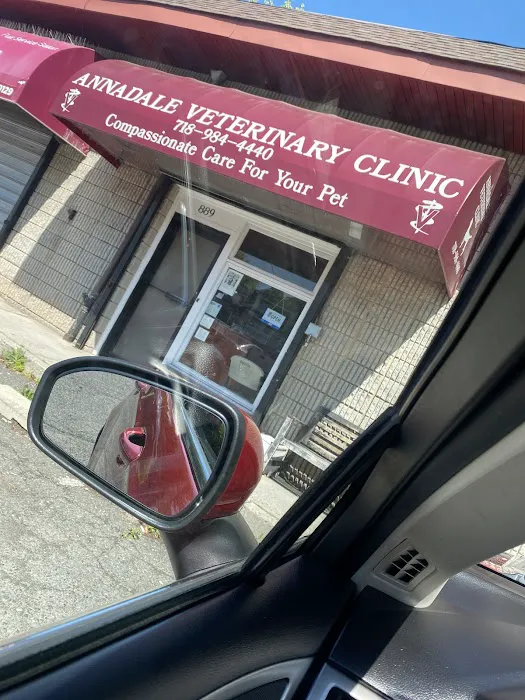Annadale Veterinary Clinic 1