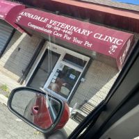 Annadale Veterinary Clinic ico