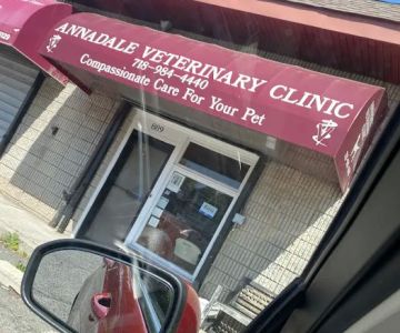 Annadale Veterinary Clinic