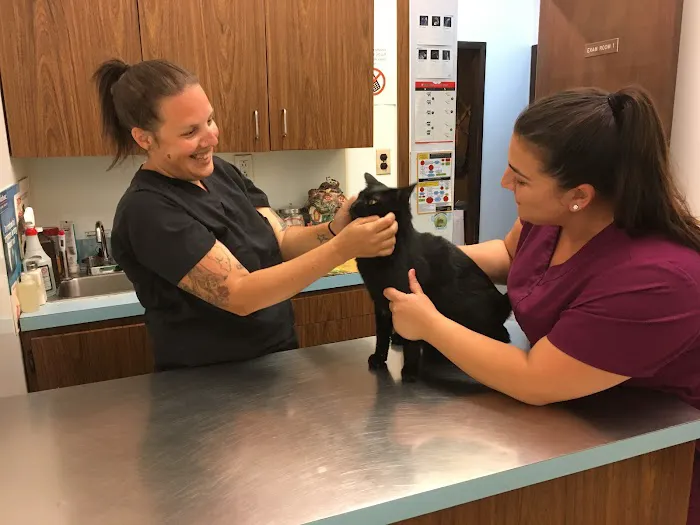 Annadale Veterinary Clinic 3