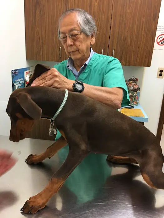 Annadale Veterinary Clinic 5