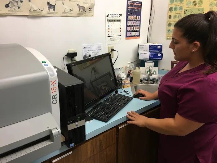 Annadale Veterinary Clinic 4