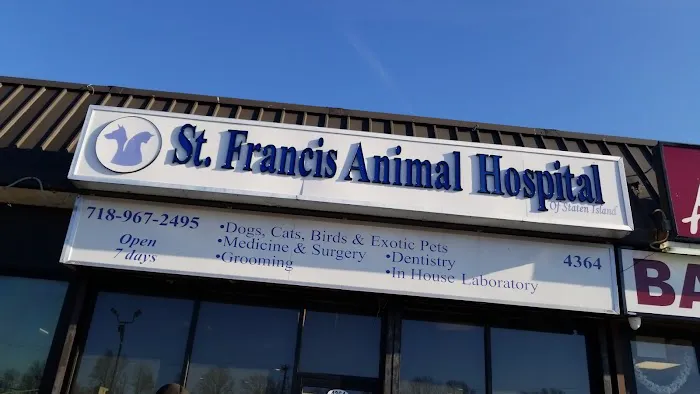 St Francis Animal Hospital 4