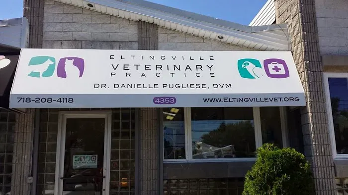 Eltingville Veterinary Practice 2