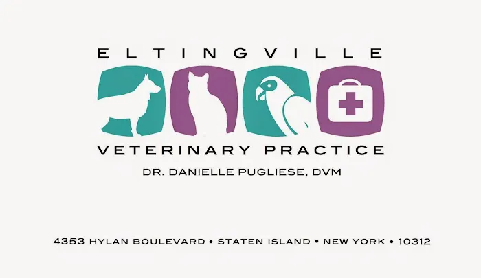 Eltingville Veterinary Practice 10