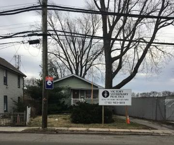 Victory Veterinary Practice