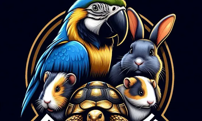 PET ZONE 1