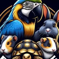 PET ZONE ico