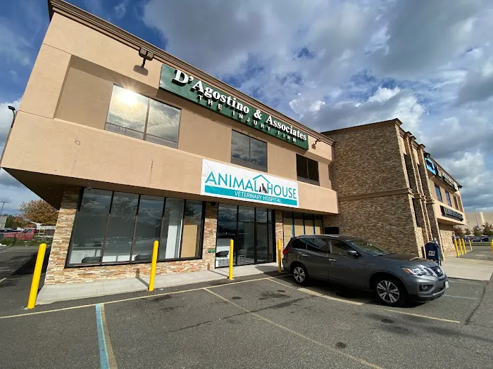 Animal House Veterinary Hospital 9