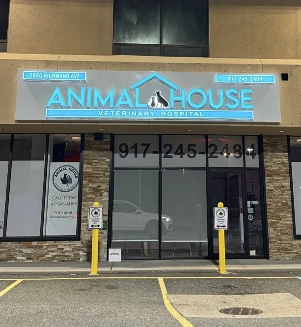 Animal House Veterinary Hospital 10