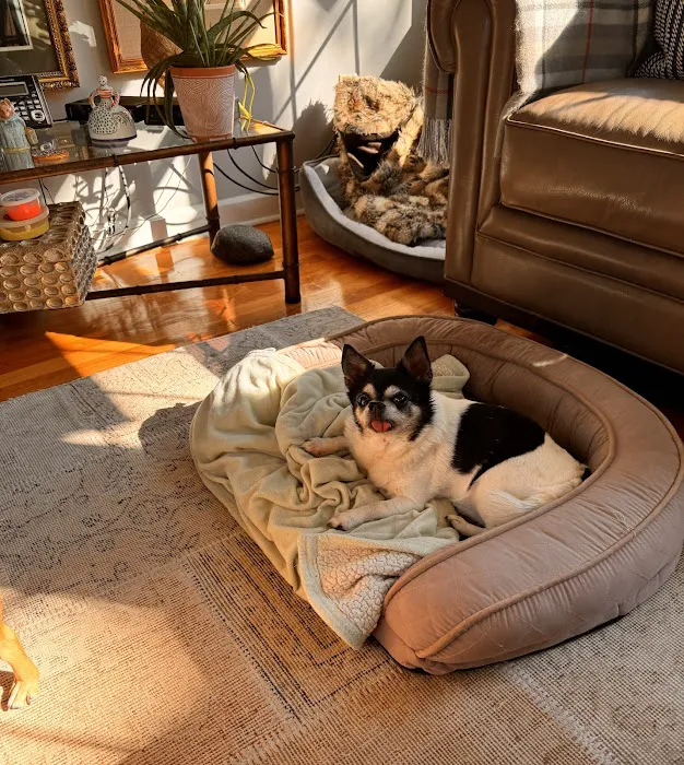 Animal House Veterinary Hospital 7