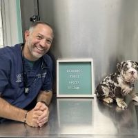 Staten Island Veterinary Group ico