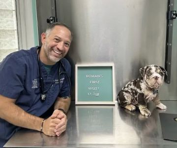 Staten Island Veterinary Group