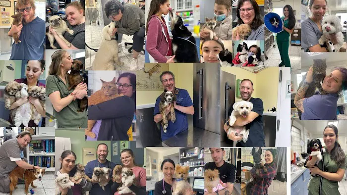 Staten Island Veterinary Group 8