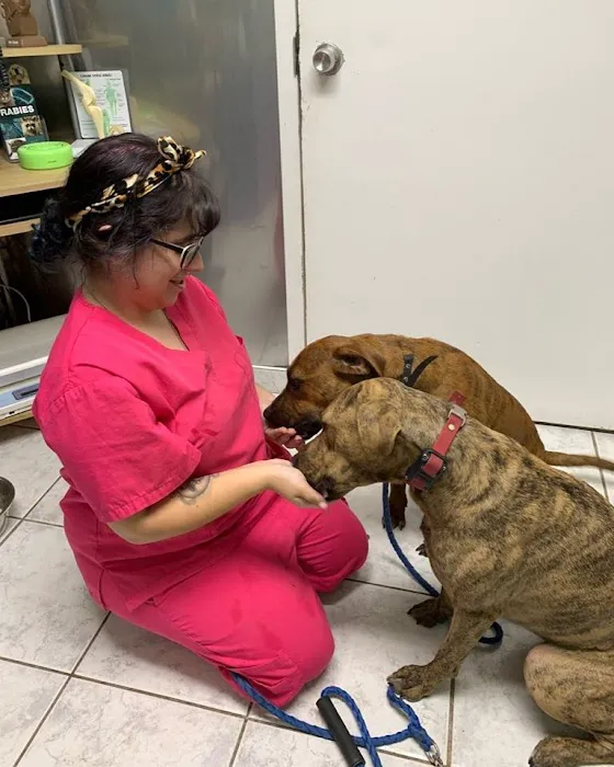 Staten Island Veterinary Group 7