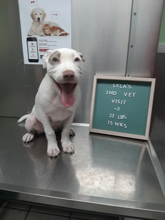 Staten Island Veterinary Group 2