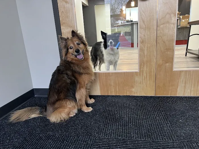 West Lehigh Veterinary Care 4