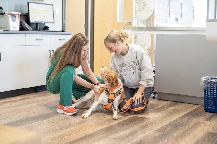 West Lehigh Veterinary Care 9