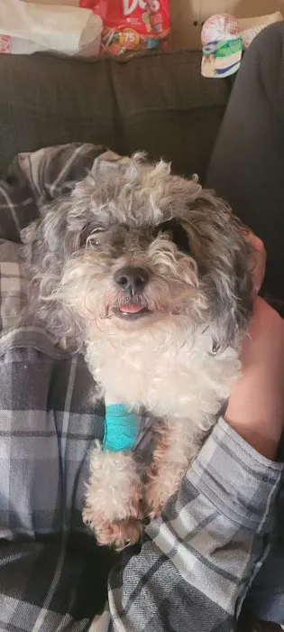 Cherryville Animal Hospital 1
