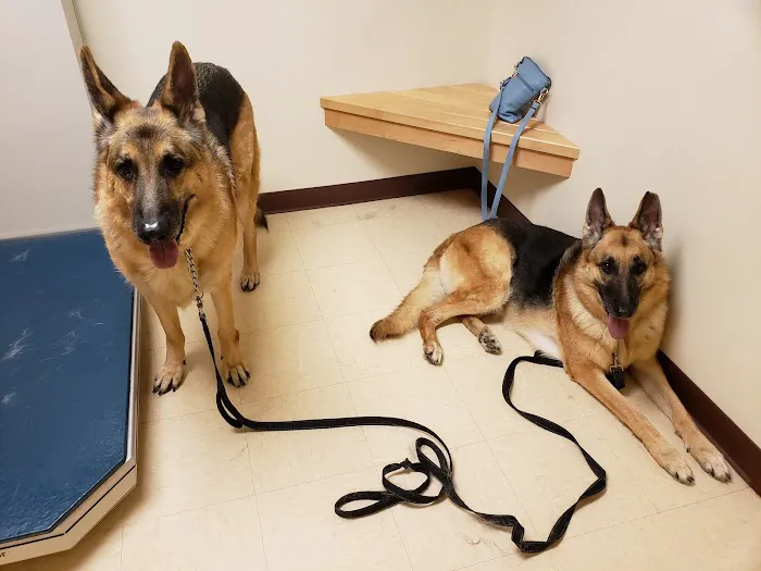 Highland Animal Hospital 7