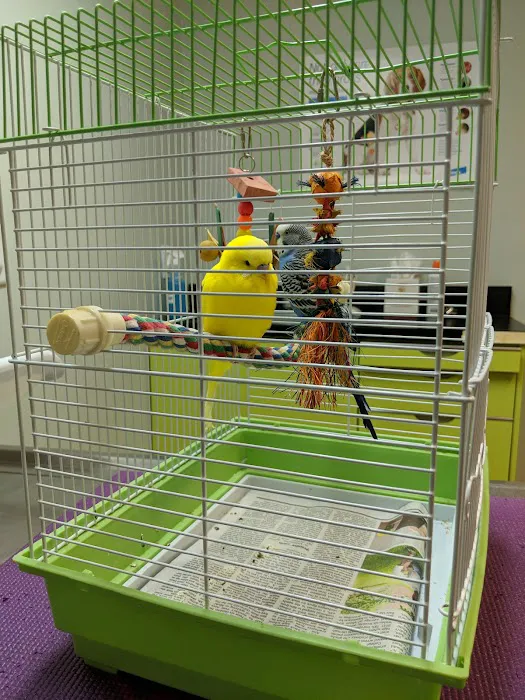 Little Gap Animal Hospital 1