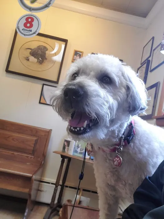 Little Gap Animal Hospital 8