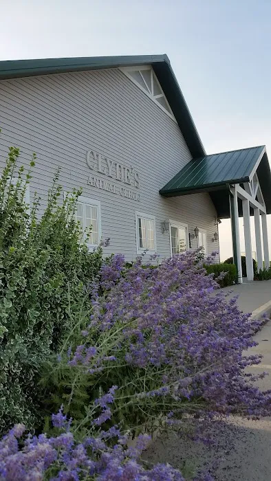 Clyde's Animal Clinic 6