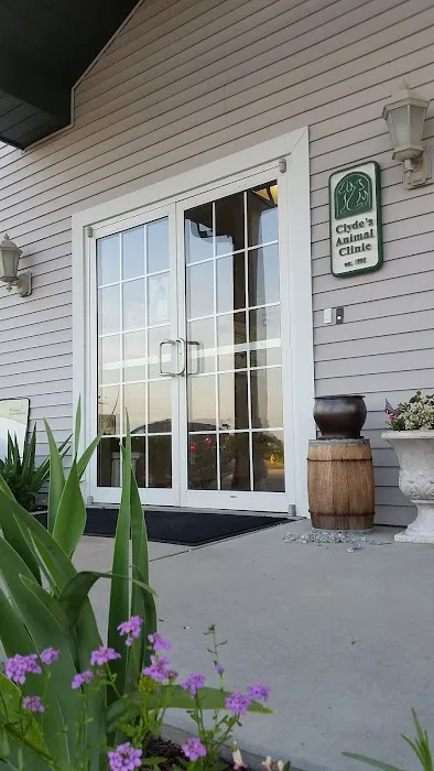 Clyde's Animal Clinic 5
