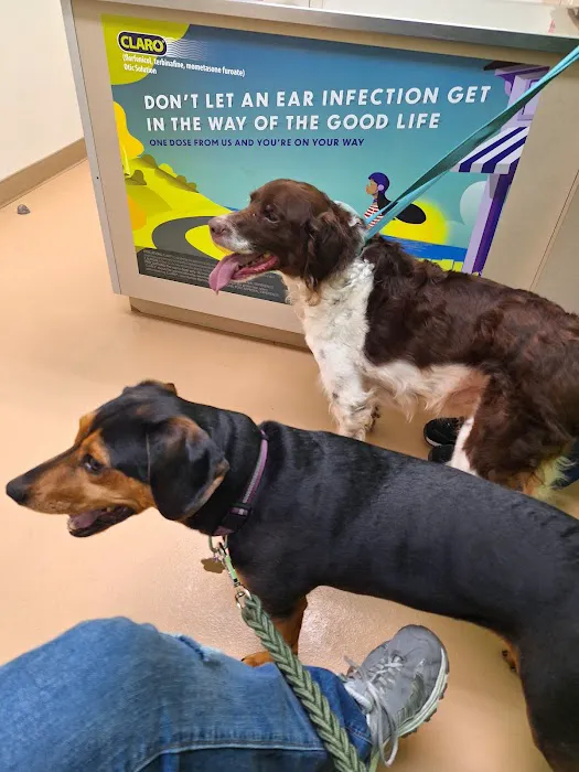 Albin Animal Hospital Mattoon 5