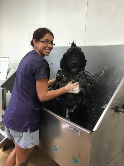 Albin Animal Hospital Mattoon 10