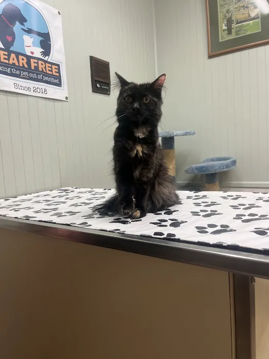 Animal Health Care Center-Arcola 1