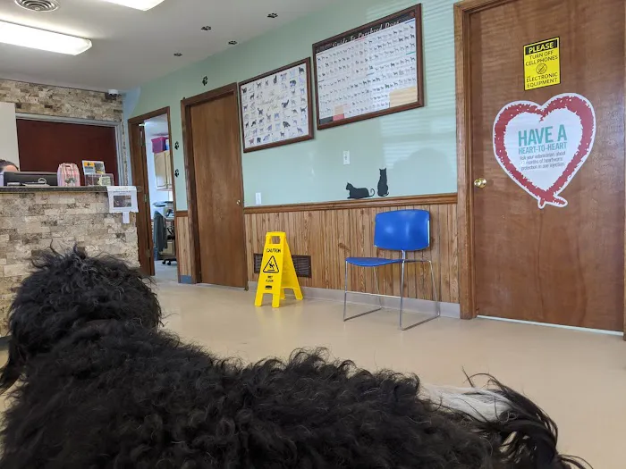 St Joe Veterinary Hospital, Inc 5