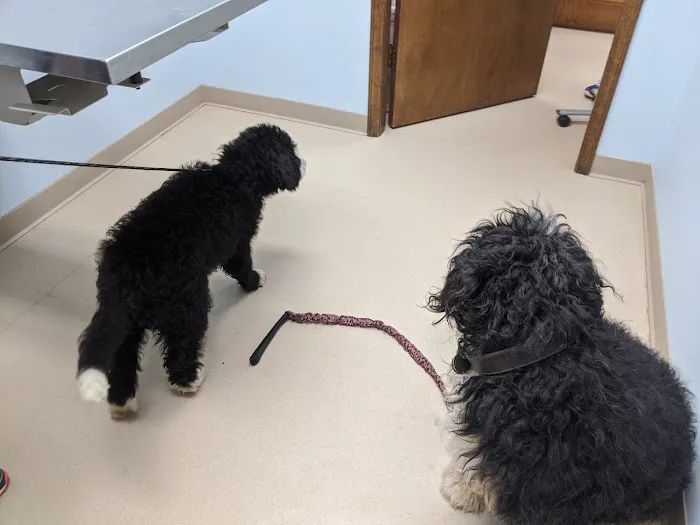 St Joe Veterinary Hospital, Inc 2