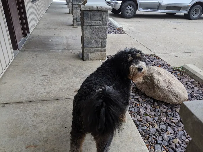 St Joe Veterinary Hospital, Inc 3