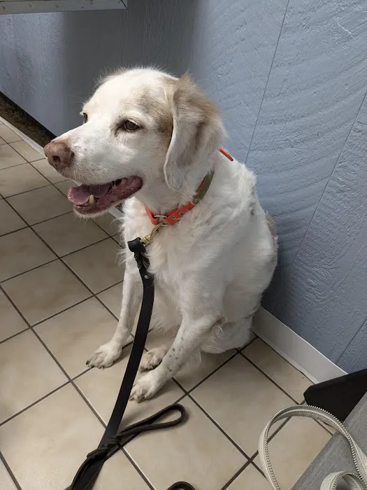 Greenbrier Animal Hospital 3