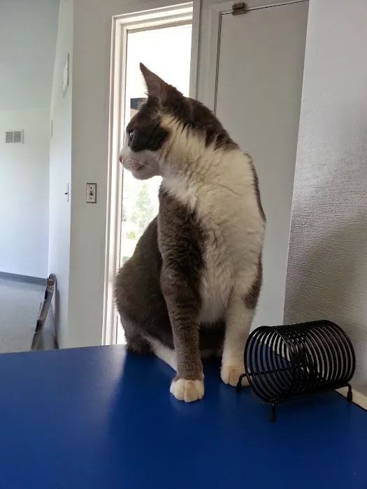 North Park Veterinary Care 4