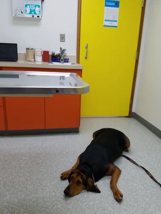 North Park Veterinary Care 8