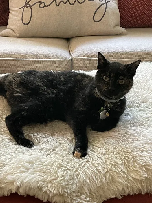 North Park Veterinary Care 10