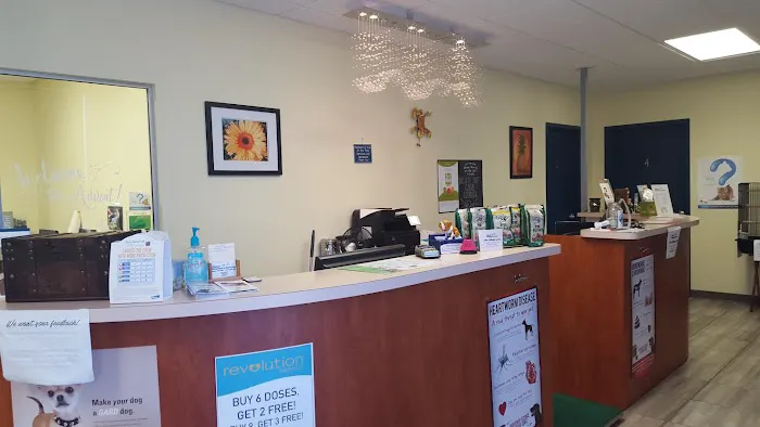 Advent Veterinary Services (Dr. Vivian Ramos - Dr. Thomas Kilbane) 6