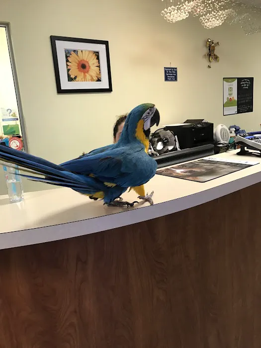 Advent Veterinary Services (Dr. Vivian Ramos - Dr. Thomas Kilbane) 7