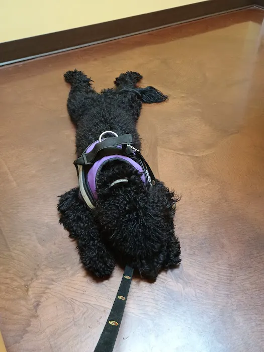 Oak Hill Animal Hospital 3