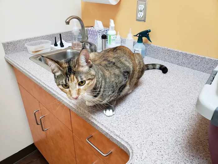 Oak Hill Animal Hospital 2