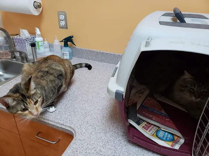 Oak Hill Animal Hospital 6