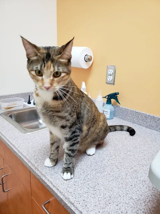 Oak Hill Animal Hospital 1