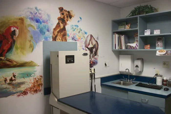 East Side Animal Hospital, A Thrive Pet Healthcare Partner 9
