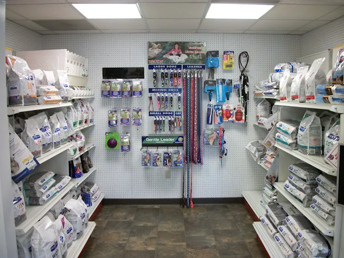 East Side Animal Hospital, A Thrive Pet Healthcare Partner 4