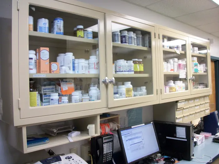 East Side Animal Hospital, A Thrive Pet Healthcare Partner 8