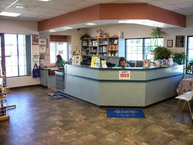 East Side Animal Hospital, A Thrive Pet Healthcare Partner 3