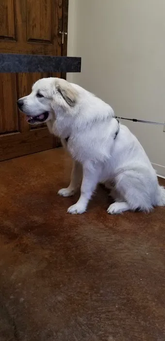 Perry County Animal Hospital 3